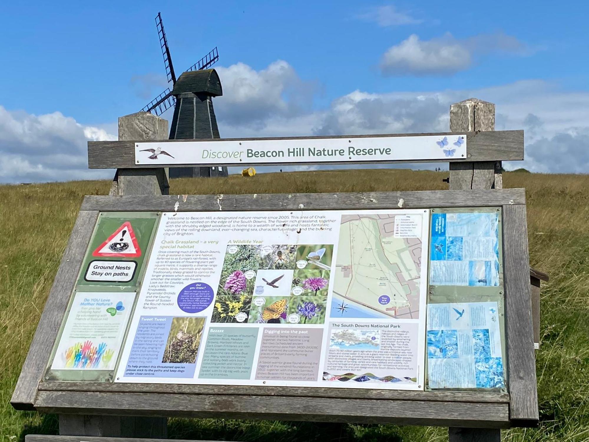 Rottingdean Boutique Studio Apartment By The Sea Brighton Exteriör bild